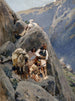 Indiani Apache nelle montagne - Henry Farny — vista dell’opera