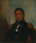 Chippewa di Big Buffalo - Henry Inman — vista dell’opera