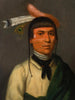 No-Tin Wind, un capo Chippewa - Henry Inman — vista dell’opera