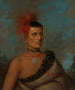 Pes-Ke-Le-Cha-Co - Henry Inman — vista dell’opera