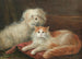 Studio di un terrier e di un gatto - Henry Maurice Page — vista dell’opera