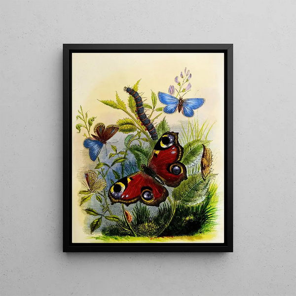 Henry Noel Humphreys - The Butterfly Vivarium or Insect home Pl 1.webp