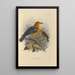 Geocichla Citrina Geocichla Innotata - Henry Seebohm — quadro incorniciato alla parete