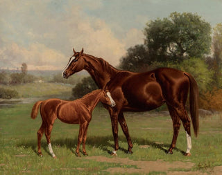 Henry Stull - Castalia and Colt by Uncas.webp