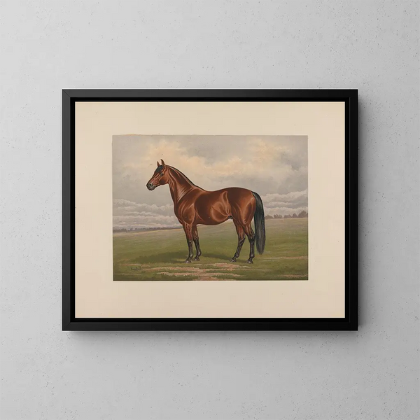 Harold - Henry Stull — quadro incorniciato alla parete