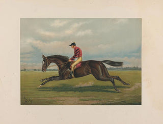 Henry Stull - Iroquois.webp