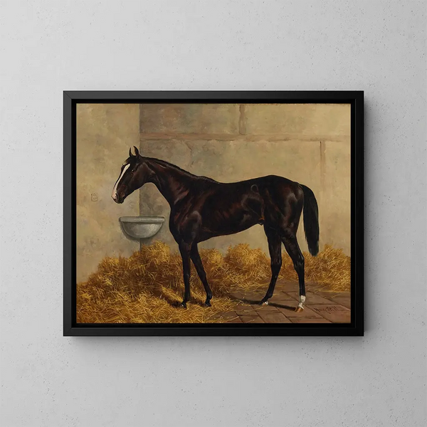 Un cavallo da corsa nero in scuderia - Henry Stull — quadro incorniciato alla parete