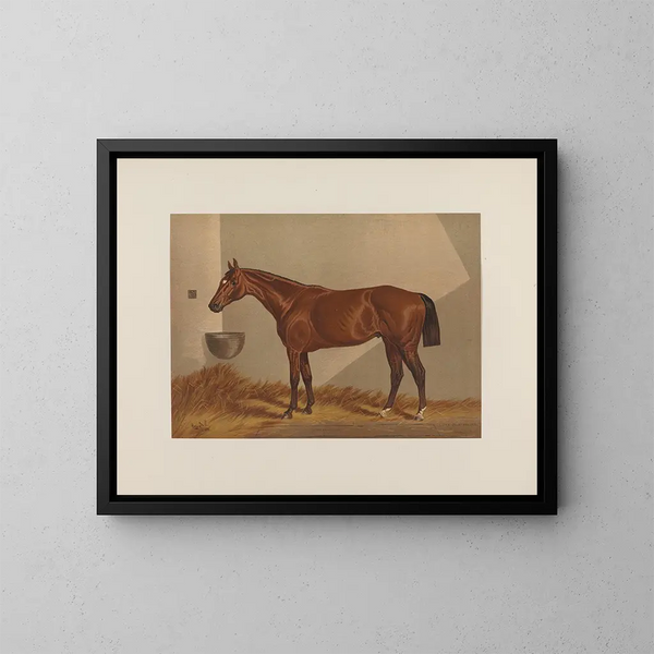 Luke Blackburn - Henry Stull — quadro incorniciato alla parete