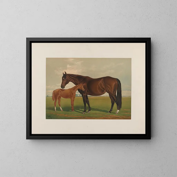 Nevada - Henry Stull — quadro incorniciato alla parete