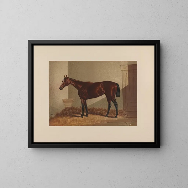 Thora - Henry Stull — quadro incorniciato alla parete