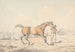 Un palafreniere che conduce un cavallo baio - Henry Thomas Alken — vista dell’opera