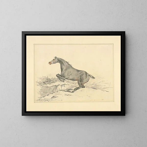 Cavallo che salta - Henry Thomas Alken — quadro incorniciato alla parete