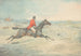 Cavaliere su un cavallo marrone che salta un muro - Henry Thomas Alken — vista dell’opera
