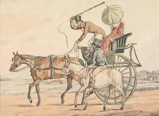 Scoperte sportive o le miserie della guida vi scoprono che avete ottenuto una guida regolare - Henry Thomas Alken — vista dell’opera
