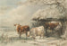 Vaches en hiver - Henry Willis — vista dell’opera