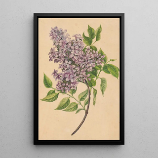 Henryka Beyer - A twig of lilac.webp