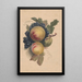 Pêches et raisins - Henryka Beyer — quadro incorniciato alla parete