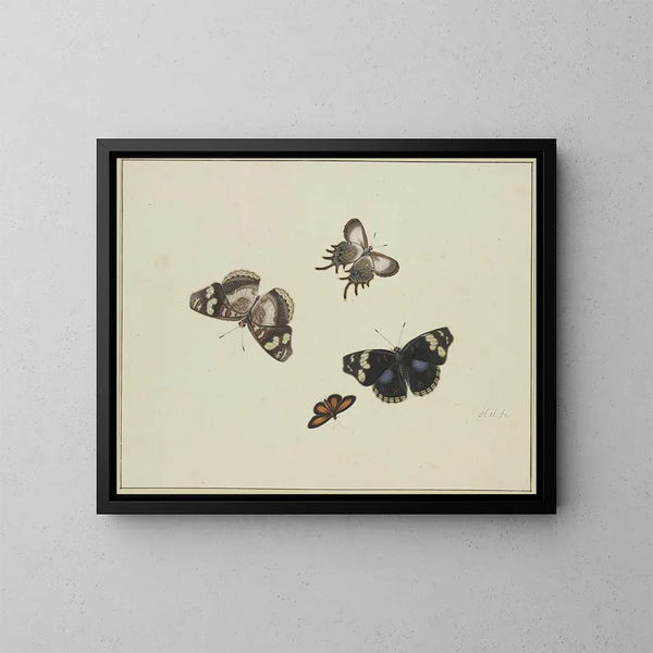 Quattro farfalle - Herman Henstenburgh — quadro incorniciato alla parete