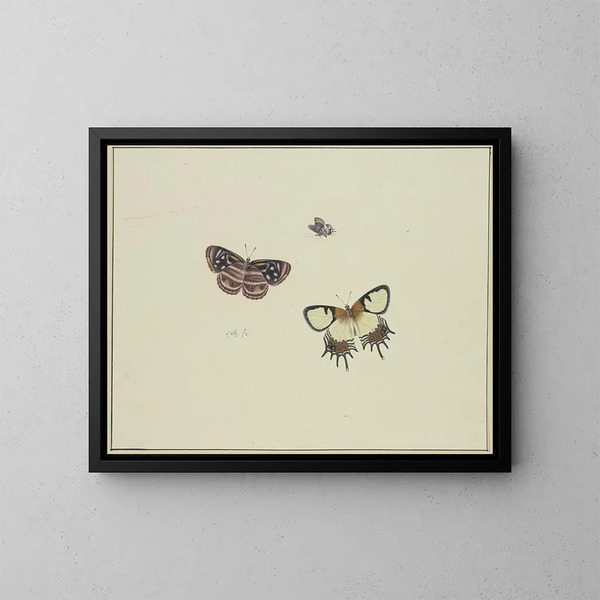 Tre farfalle - Herman Henstenburgh — quadro incorniciato alla parete