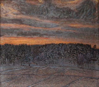 Paesaggio innevato - Herman Norrman — vista dell’opera