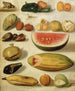 Nature morte ai frutti con scorpione e rana - Hermenegildo Bustos — vista dell’opera