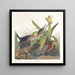 Airone verde - John James Audubon — quadro incorniciato alla parete