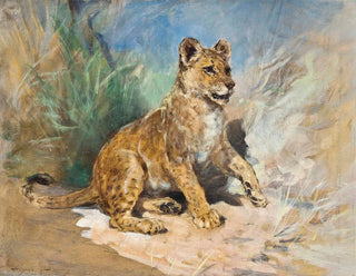 Heywood Hardy - A lion cub.webp