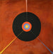 Le Cygne No 18 - Hilma af Klint — vista dell’opera