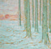 Inverno nella foresta - William Degouve de Nuncques — vista dell’opera