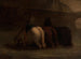 L'Abreuvoir - Honoré Daumier — vista dell’opera