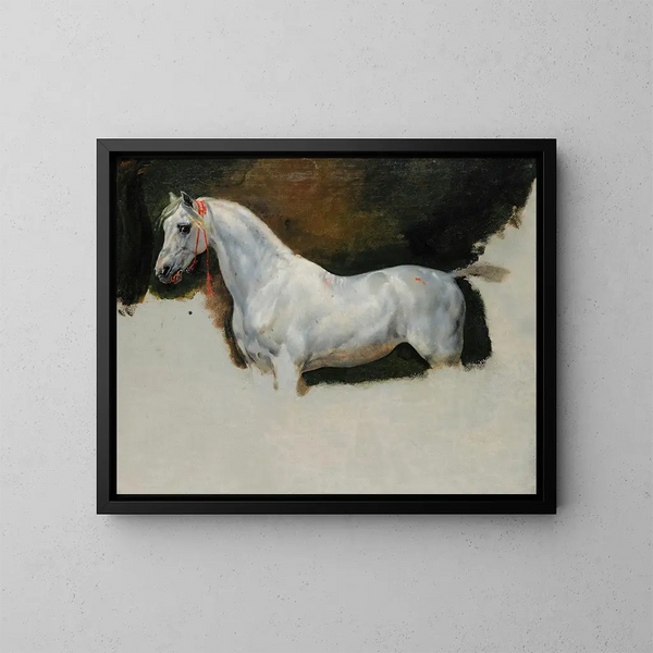Studio di un cavallo bianco - Horace Vernet — quadro incorniciato alla parete
