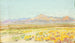 Paesaggio desertico - Howard Russell Butler — vista dell’opera