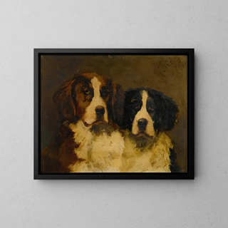 Studio di due San Bernardo - Hugh George Shaw — quadro incorniciato alla parete