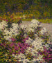 Phlox bianco - Hugh Henry Breckenridge — vista dell’opera