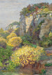 Genêt en fleurs sur Brioni - Hugo Charlemont — vista dell’opera