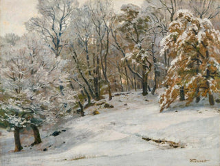 Un jour d'inverno - Hugo Darnaut — vista dell’opera