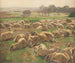 Moutons - Hugo Mühlig — vista dell’opera