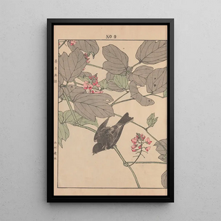 Imao Keinen - Keinen kach gafu Pl011.webp