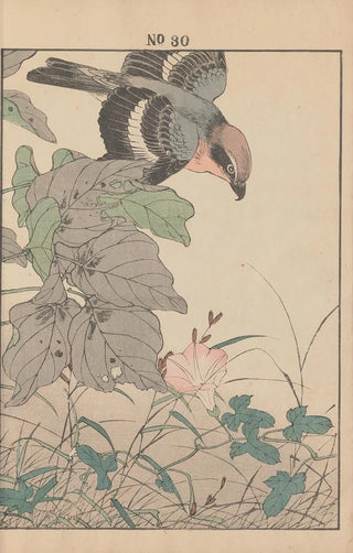 Imao Keinen - Keinen kach gafu Pl032.webp