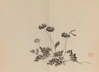 Imao Keinen - Keinen shugajo Pl19.webp