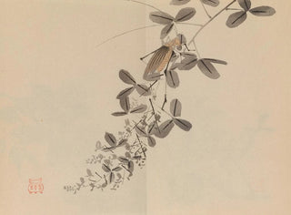 Keinen shugajō Pl40 - Imao Keinen — vista dell’opera