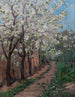 Fiori di ciliegio - Ingeborg Eggertz — vista dell’opera