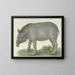 Tapir - Isaac van Haastert — quadro incorniciato alla parete