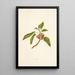 Kou - Isabella McHutcheson Sinclair — quadro incorniciato alla parete