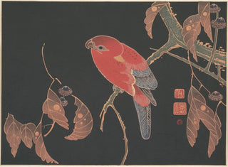 It Jakuch - Red Parrot on the Branch of a Tree.webp