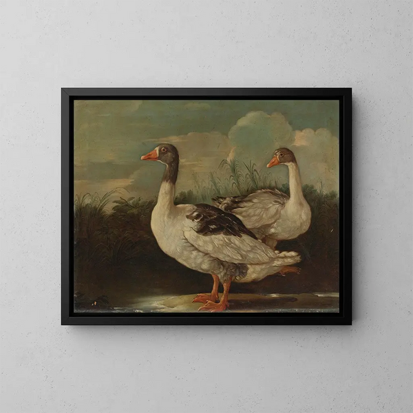 Due oche fiere - Scuola italiana — quadro incorniciato alla parete