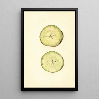 JF Brewer - Malus domestica.webp