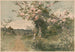 Primavera - J. Mazzanovich — vista dell’opera