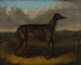 Il sultano e il levriero - J Thompson — vista dell’opera