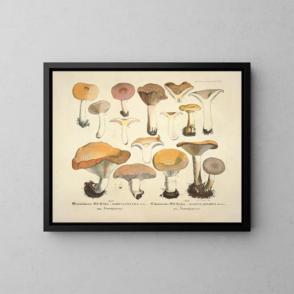 Rappresentazioni fedeli e descrizioni di funghi commestibili, nocivi e sospetti Pl12 - J V Krombholz — quadro incorniciato alla parete